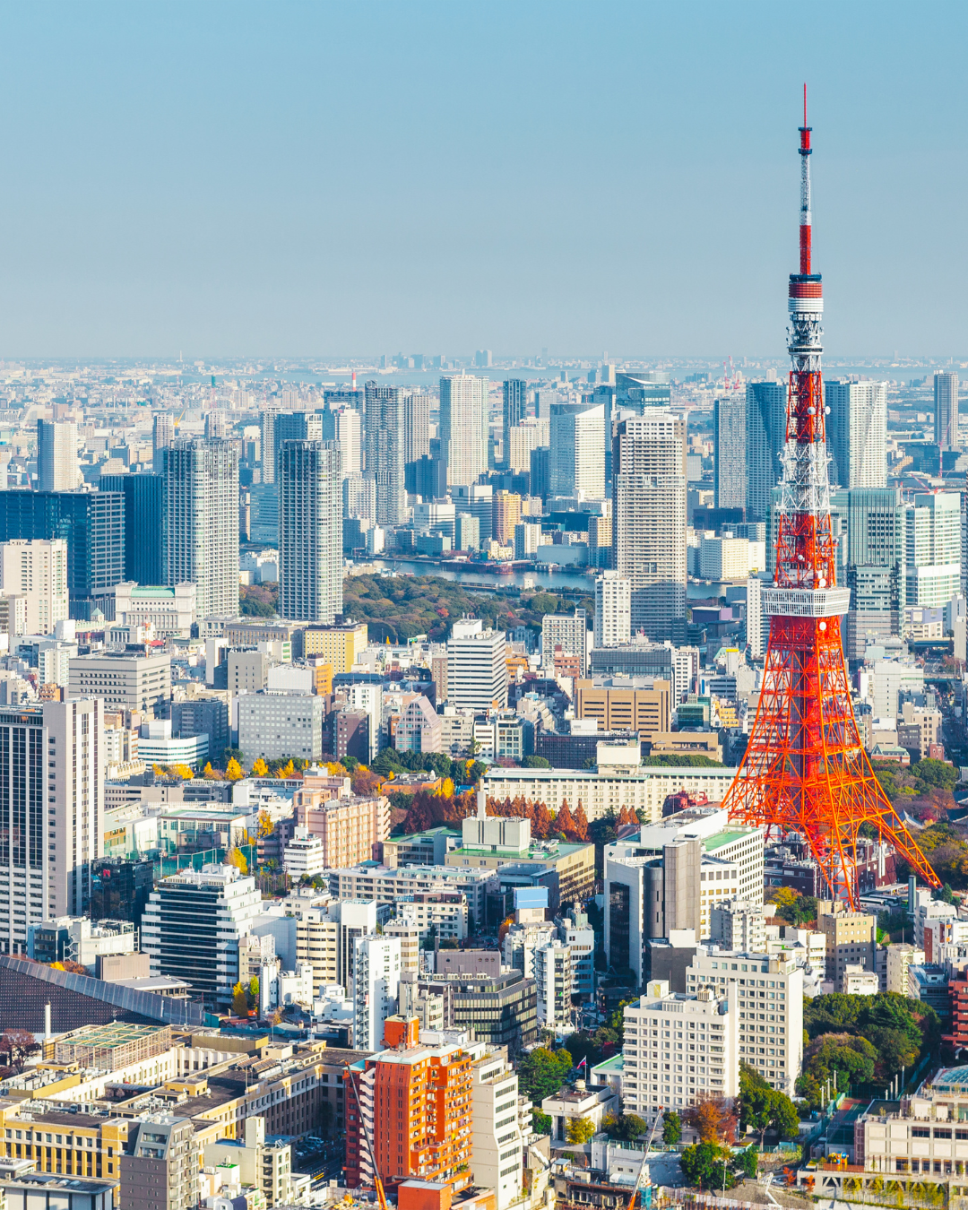東京の街並みの写真